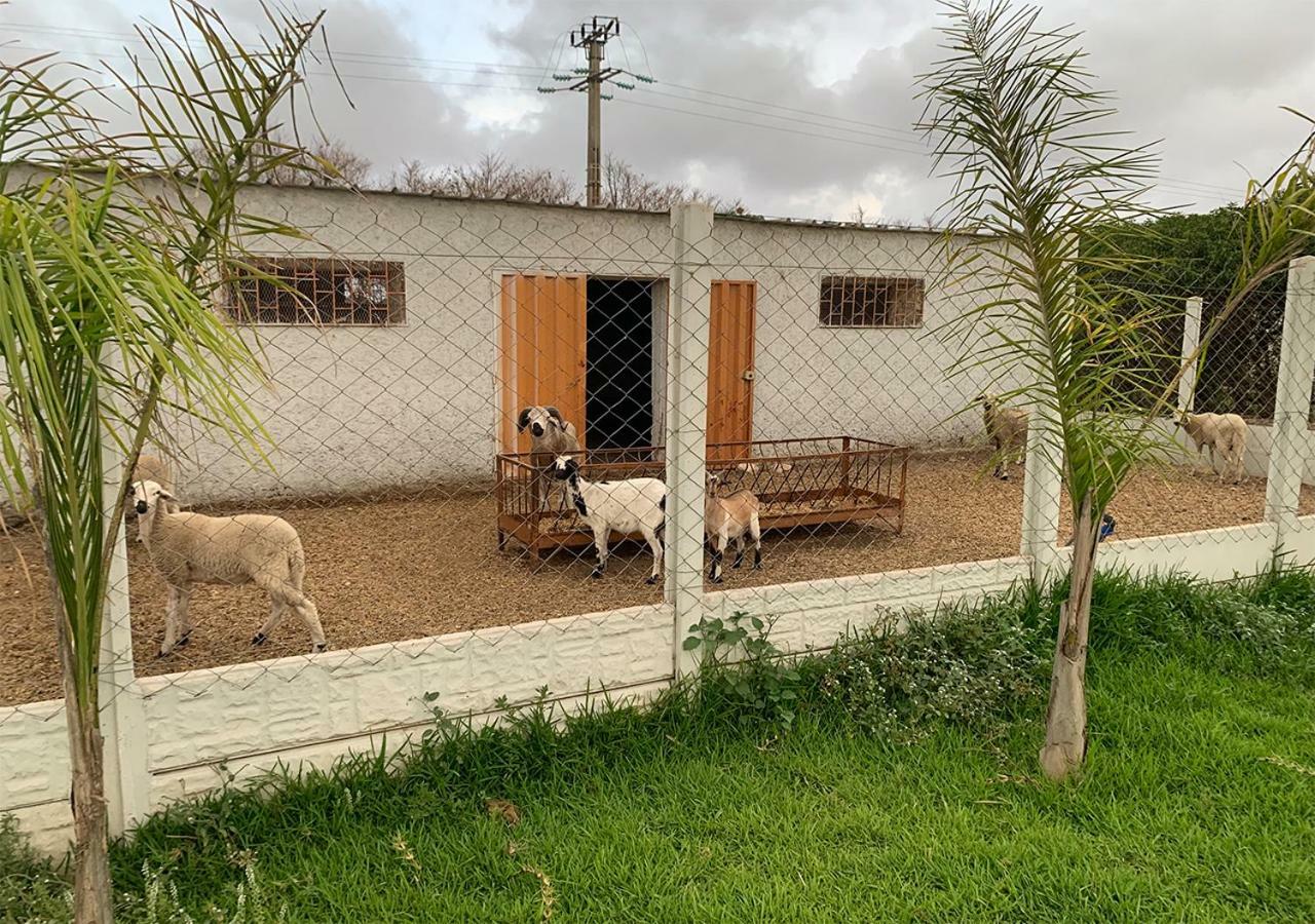Palm Grove Farm Villa Tit Mellil Eksteriør bilde